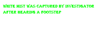 White mist was captured by investigator after hearing a footstep 